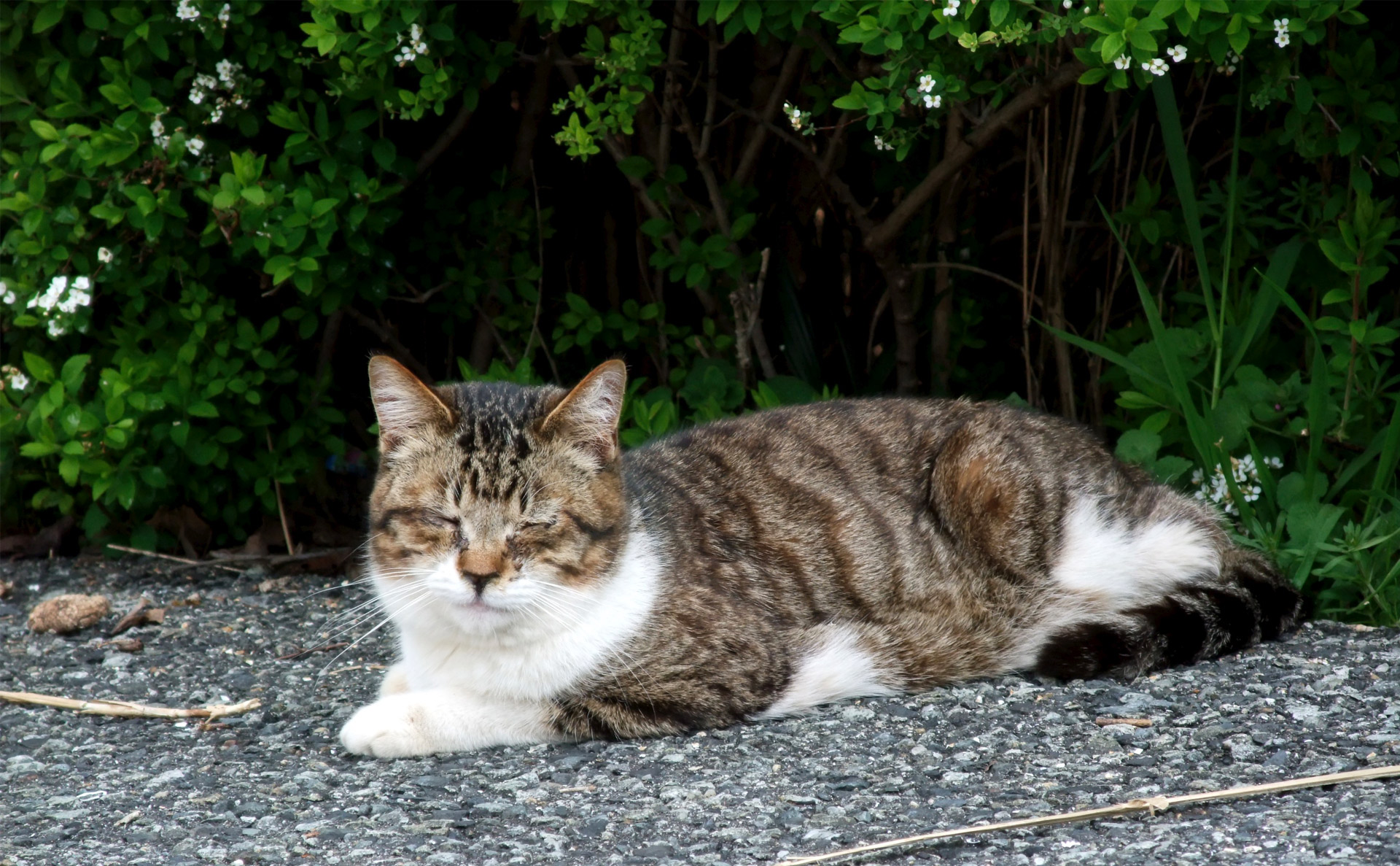 長い一日