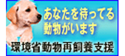 環境省 収容動物検索情報サイト