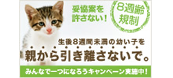 ８週齢みんなで一つになろうキャンペーン！